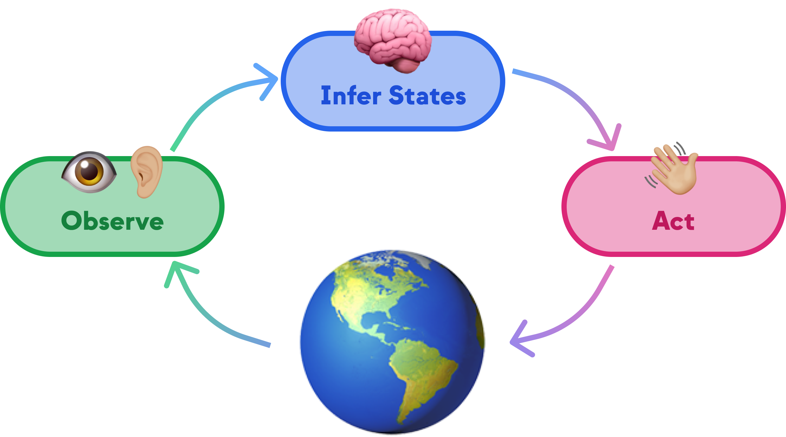 Image of the Active Inference Cycle